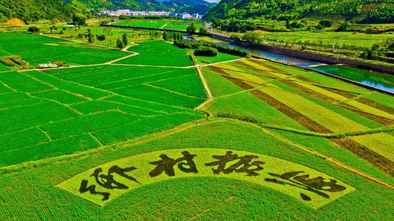 政策解讀｜《中共中央 國務院關于做好2023年全面推進鄉村振興重點工作的意見》