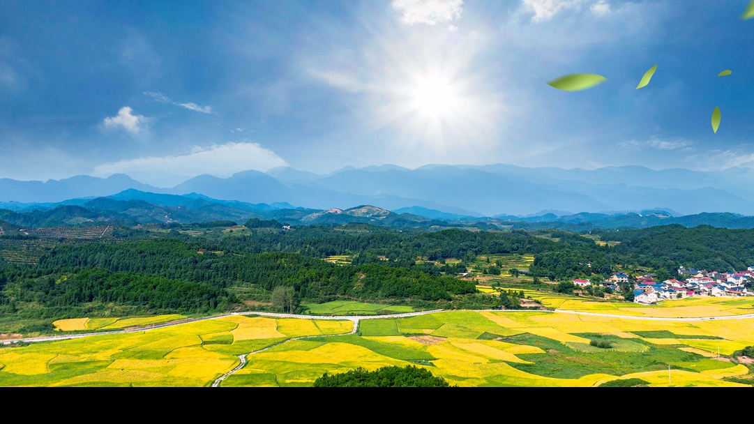 經(jīng)濟日報刊文：形式主義、官僚主義是鄉(xiāng)村振興的最大危害